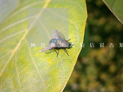 网贷逾期发短信说告知派出所 网贷逾期发短信说告知派出所