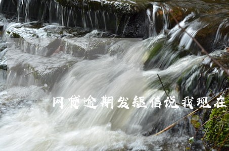 网贷逾期发短信说我现在住址 网贷逾期发短信说我现在住址