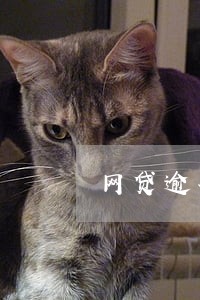 网贷逾期发短信说执行通知 网贷逾期发短信说执行通知