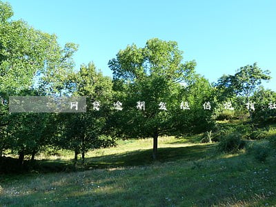 网贷逾期发短信说找社会人员 网贷逾期发短信说找社会人员