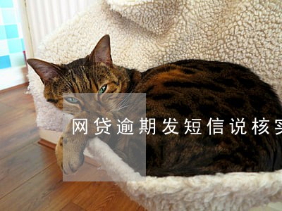 网贷逾期发短信说核实单位了 网贷逾期发短信说核实单位了