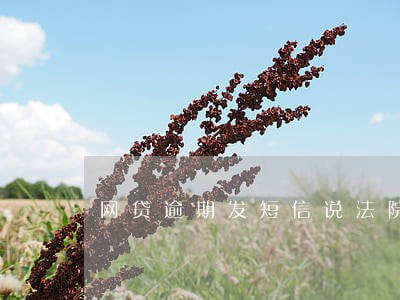 网贷逾期发短信说法院要开庭 网贷逾期发短信说法院要开庭