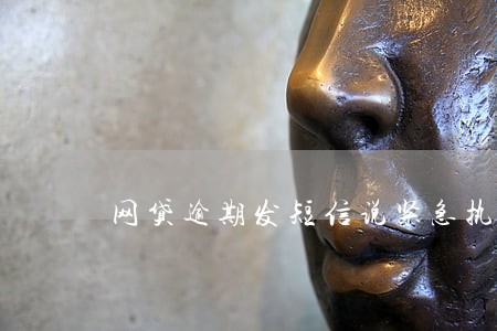 网贷逾期发短信说紧急执行 网贷逾期发短信说紧急执行