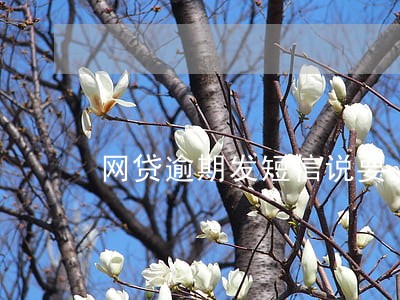 网贷逾期发短信说要上门强制还款 网贷逾期发短信说要上门强制还款