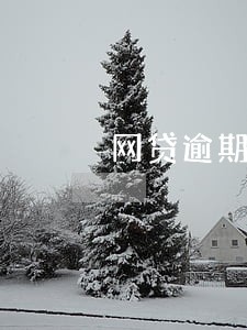 网贷逾期发短信说要公安备案 网贷逾期发短信说要公安备案