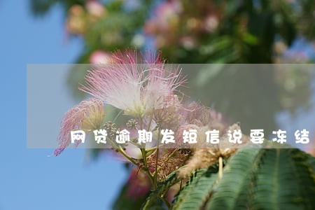 网贷逾期发短信说要冻结资产 网贷逾期发短信说要冻结资产