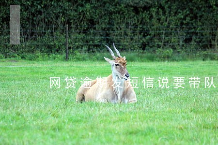 网贷逾期发短信说要带队上门 网贷逾期发短信说要带队上门