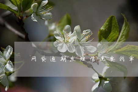 网贷逾期发短信说要找单位