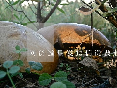 网贷逾期发短信说要起诉我 网贷逾期发短信说要起诉我