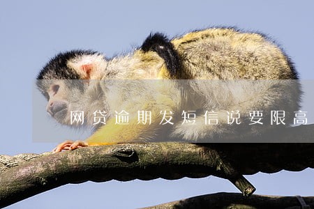 网贷逾期发短信说要限高