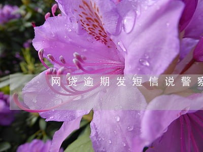 网贷逾期发短信说警察上门 网贷逾期发短信说警察上门