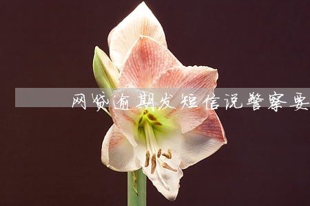 网贷逾期发短信说警察要上门 网贷逾期发短信说警察要上门