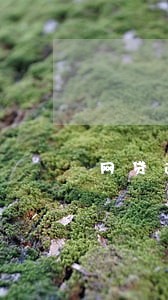 网贷逾期发短信说让去开庭 网贷逾期发短信说让去开庭