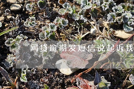 网贷逾期发短信说起诉我 网贷逾期发短信说起诉我