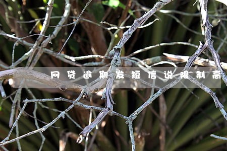 网贷逾期发短信说限制高消费 网贷逾期发短信说限制高消费