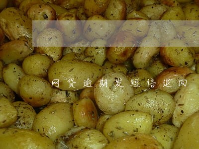 网贷逾期发短信退回 网贷逾期发短信退回