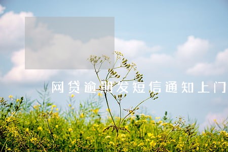 网贷逾期发短信通知上门 网贷逾期发短信通知上门
