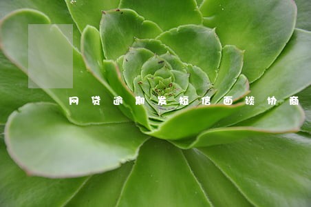 网贷逾期发短信面谈协商 网贷逾期发短信面谈协商