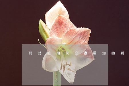 网贷逾期发立案通知函到村委会 网贷逾期发立案通知函到村委会