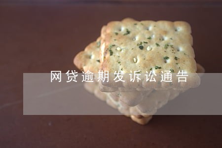 网贷逾期发诉讼通告