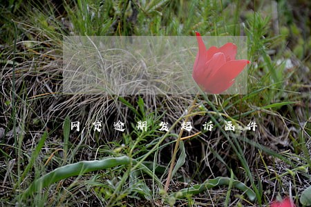网贷逾期发起诉函件 网贷逾期发起诉函件