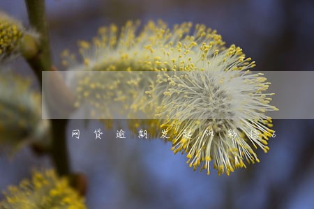 网贷逾期发起诉彩信6 网贷逾期发起诉彩信6