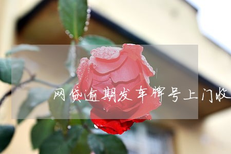 网贷逾期发车牌号上门收现金 网贷逾期发车牌号上门收现金