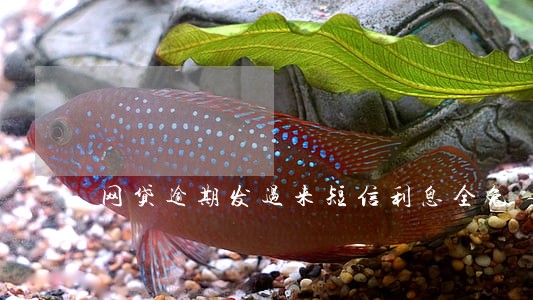 网贷逾期发过来短信利息全免 网贷逾期发过来短信利息全免
