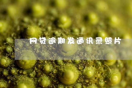 网贷逾期发通讯录照片 网贷逾期发通讯录照片