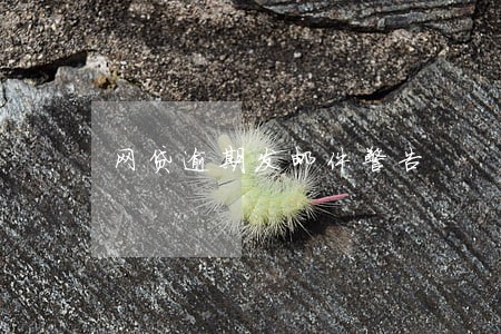 网贷逾期发邮件警告