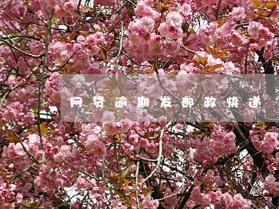 网贷逾期发邮政快递 网贷逾期发邮政快递