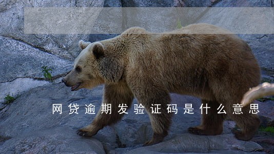 网贷逾期发验证码是什么意思 网贷逾期发验证码是什么意思