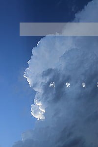 网贷逾期取消了分期怎么办 网贷逾期取消了分期怎么办