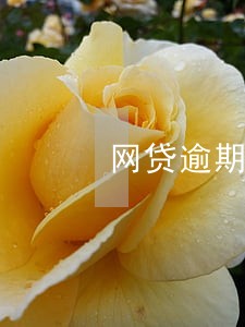 网贷逾期取消自动扣费 网贷逾期取消自动扣费