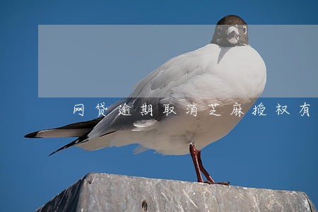 网贷逾期取消芝麻授权有用吗 网贷逾期取消芝麻授权有用吗