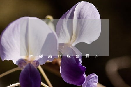 网贷逾期取证通告
