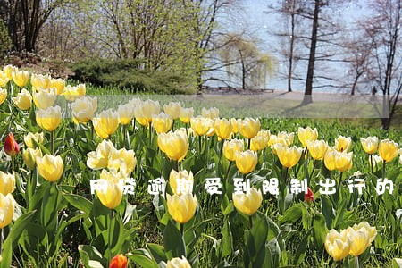 网贷逾期受到限制出行的短信 网贷逾期受到限制出行的短信