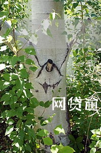网贷逾期受害人视频