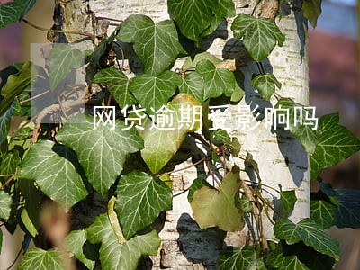 网贷逾期受影响吗 网贷逾期受影响吗
