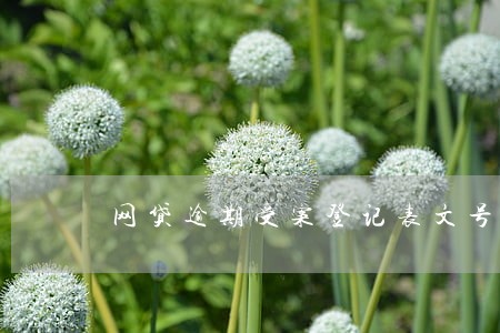 网贷逾期受案登记表文号刑 网贷逾期受案登记表文号刑
