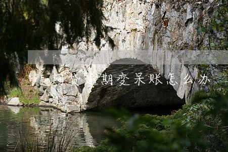 网贷逾期变呆账怎么办 网贷逾期变呆账怎么办