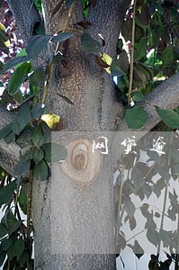 网贷逾期变呆账是什么意思 网贷逾期变呆账是什么意思
