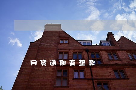 网贷逾期变垫款 网贷逾期变垫款