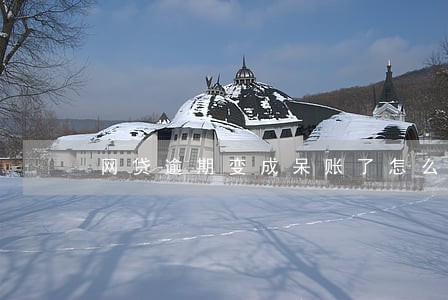 网贷逾期变成呆账了怎么处理