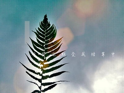 网贷逾期变成结算中 网贷逾期变成结算中