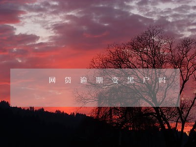 网贷逾期变黑户吗 网贷逾期变黑户吗