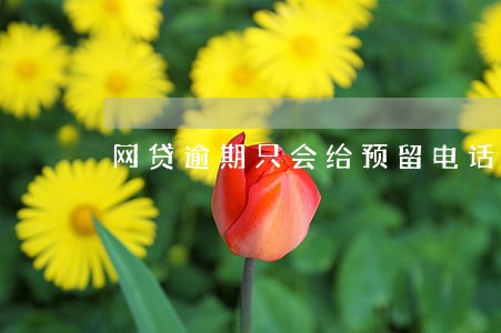 网贷逾期只会给预留电话打电话吗 网贷逾期只会给预留电话打电话吗