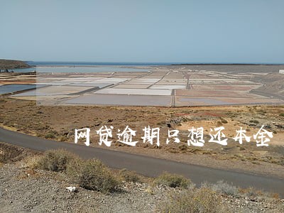 网贷逾期只想还本金 网贷逾期只想还本金