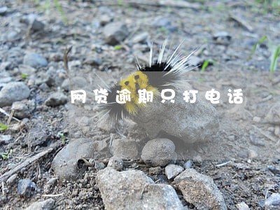 网贷逾期只打电话 网贷逾期只打电话