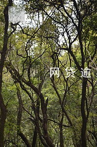 网贷逾期只用一部分本金就可以吗 网贷逾期只用一部分本金就可以吗